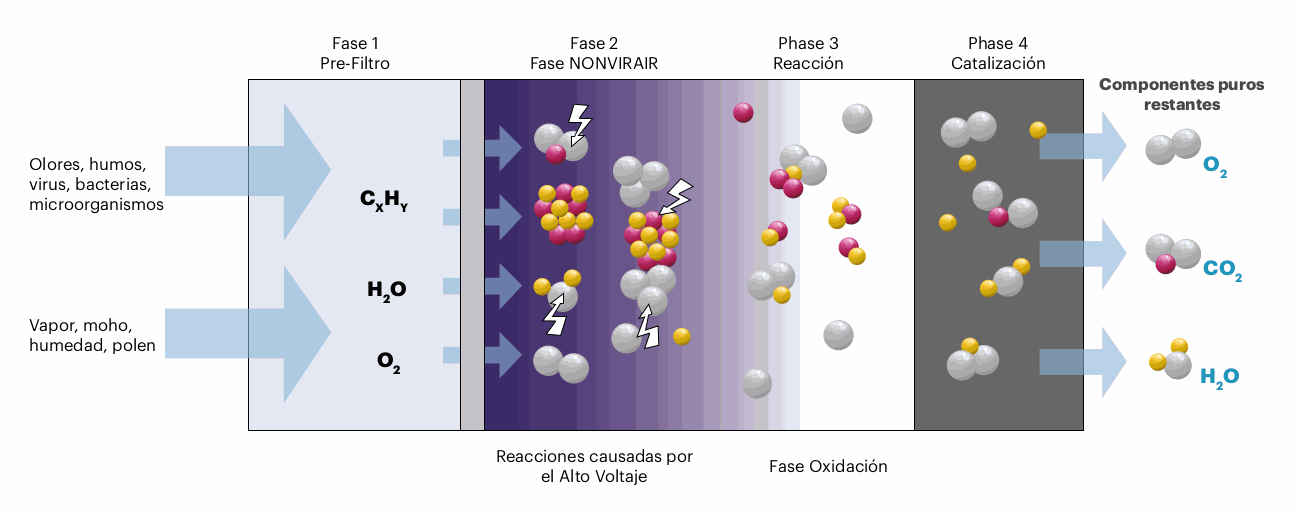 Imagen de la diapositiva